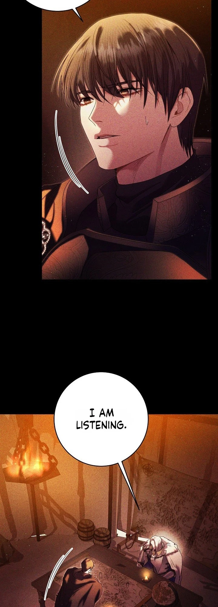 Chapter 1, page 13