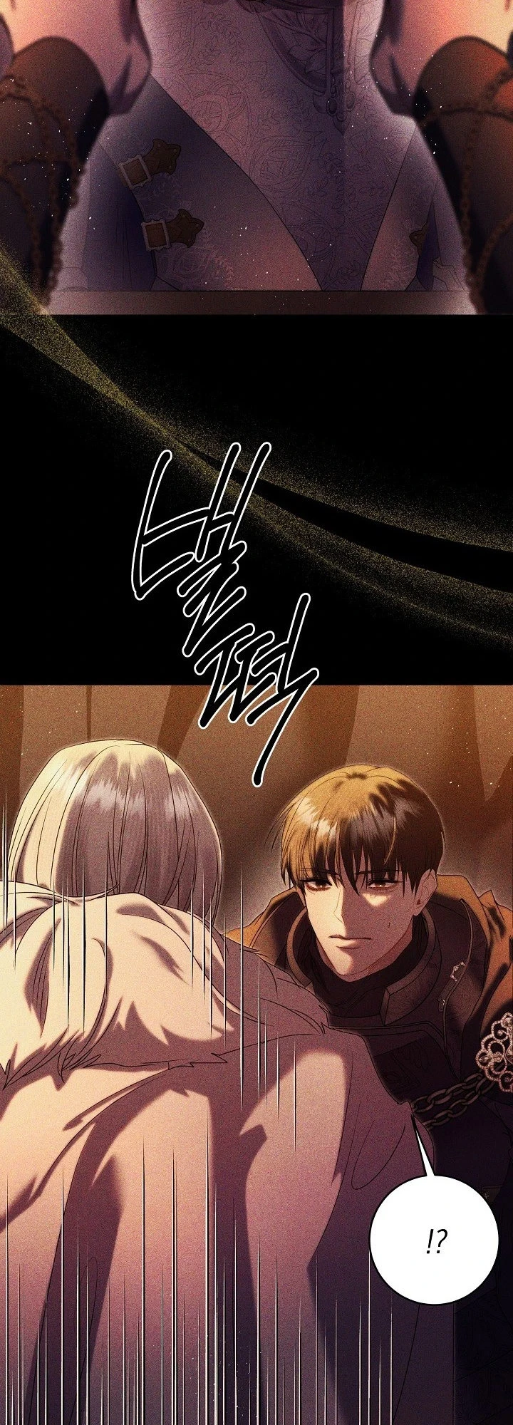 Chapter 1, page 27