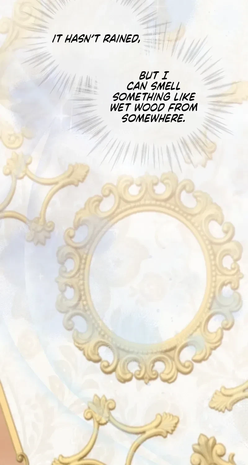 Chapter 2, page 27