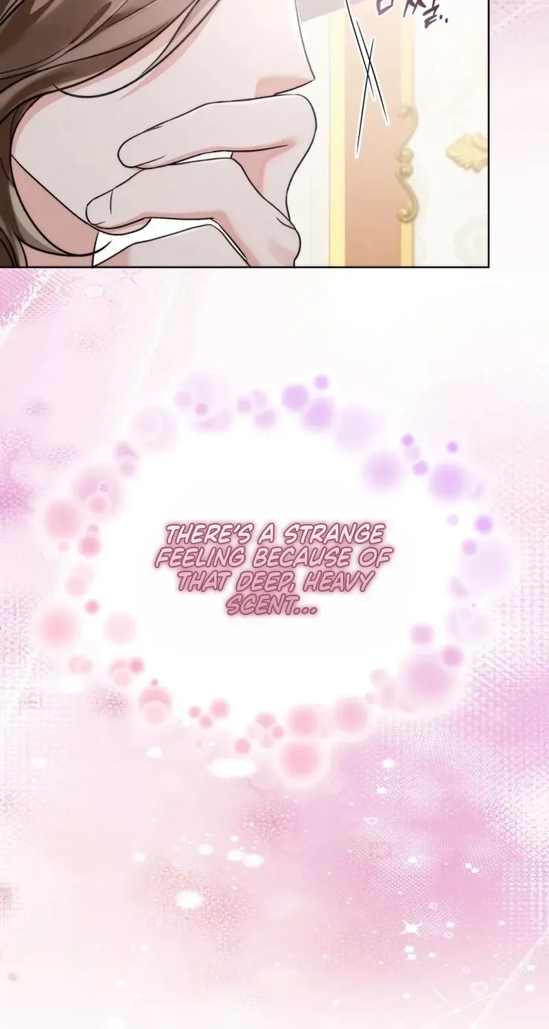 Chapter 2, page 29