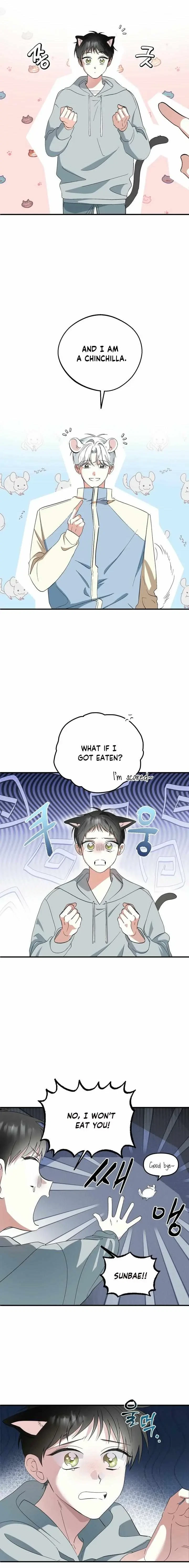 Chapter 1, page 2