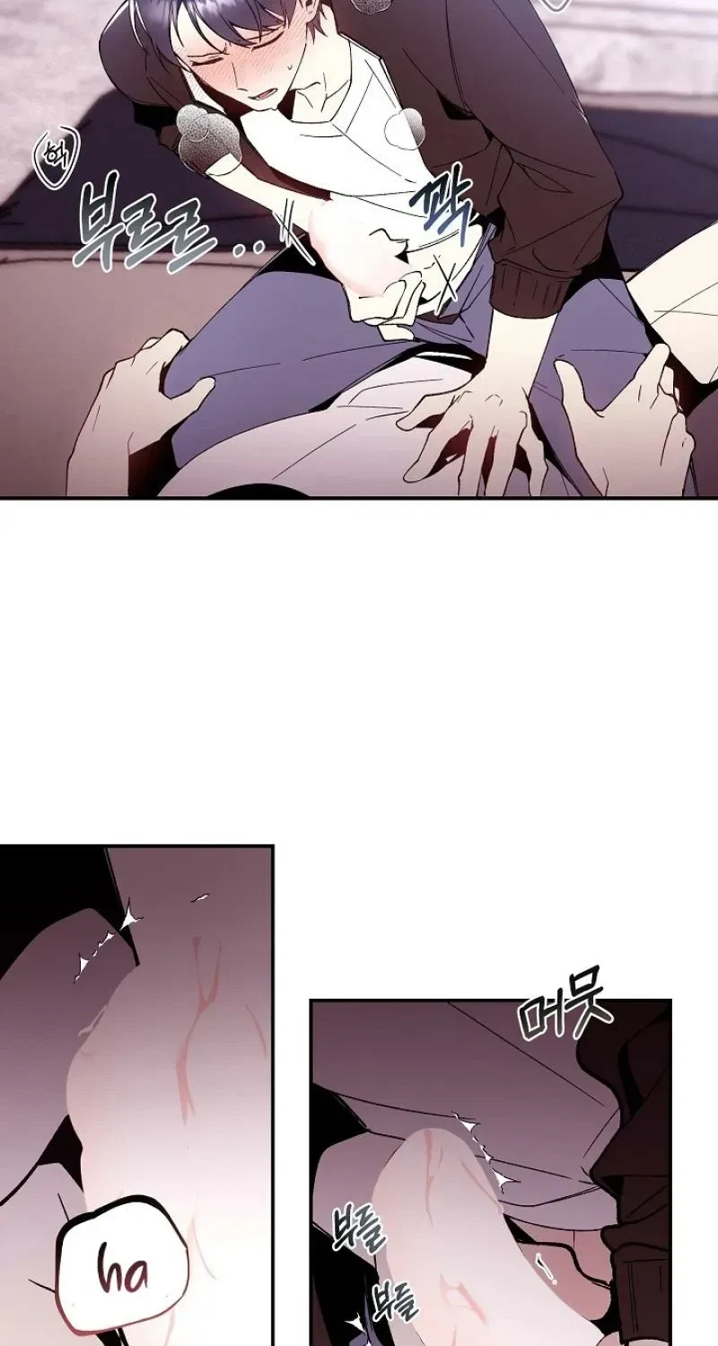 Chapter 2, page 27