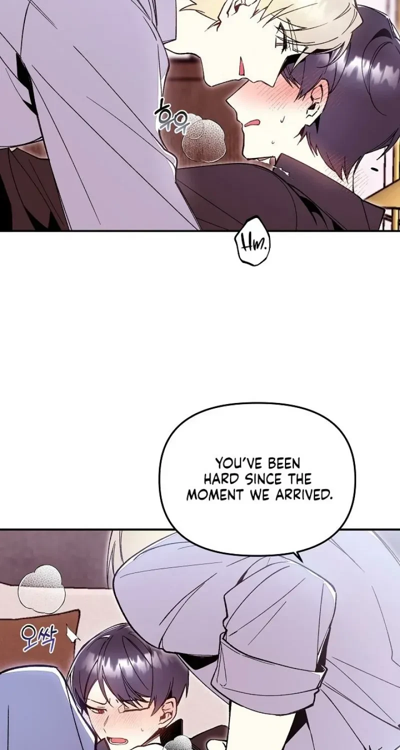 Chapter 2, page 8