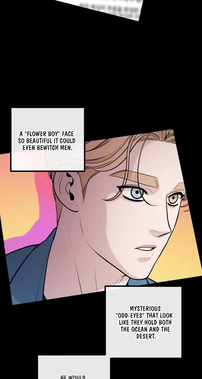 Chapter 3, page 33