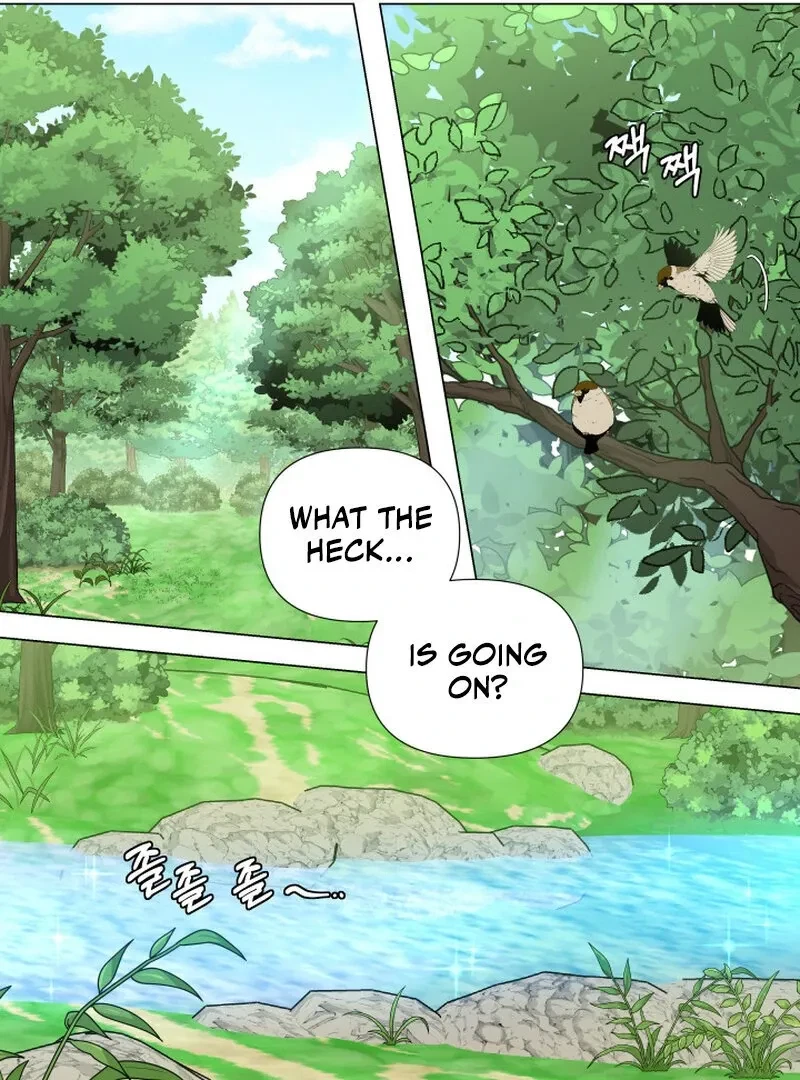 Chapter 1, page 14