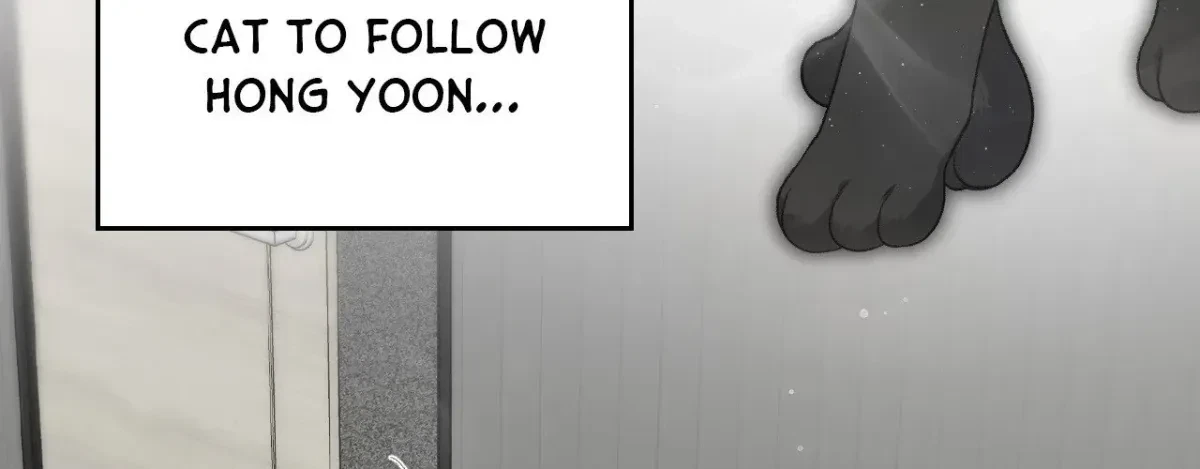 Chapter 10, page 237