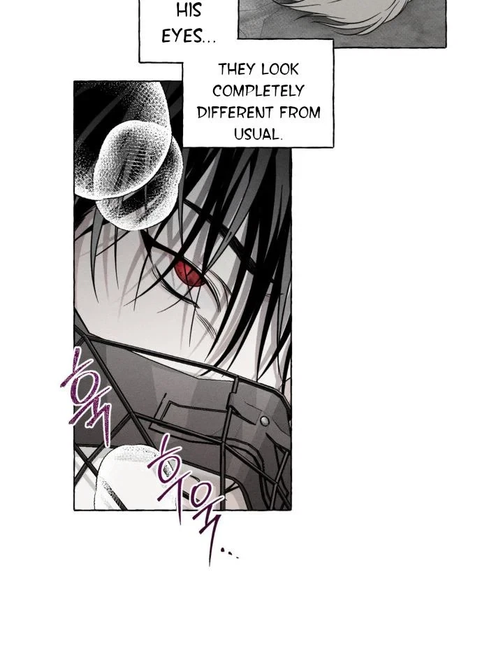 Chapter 4, page 69