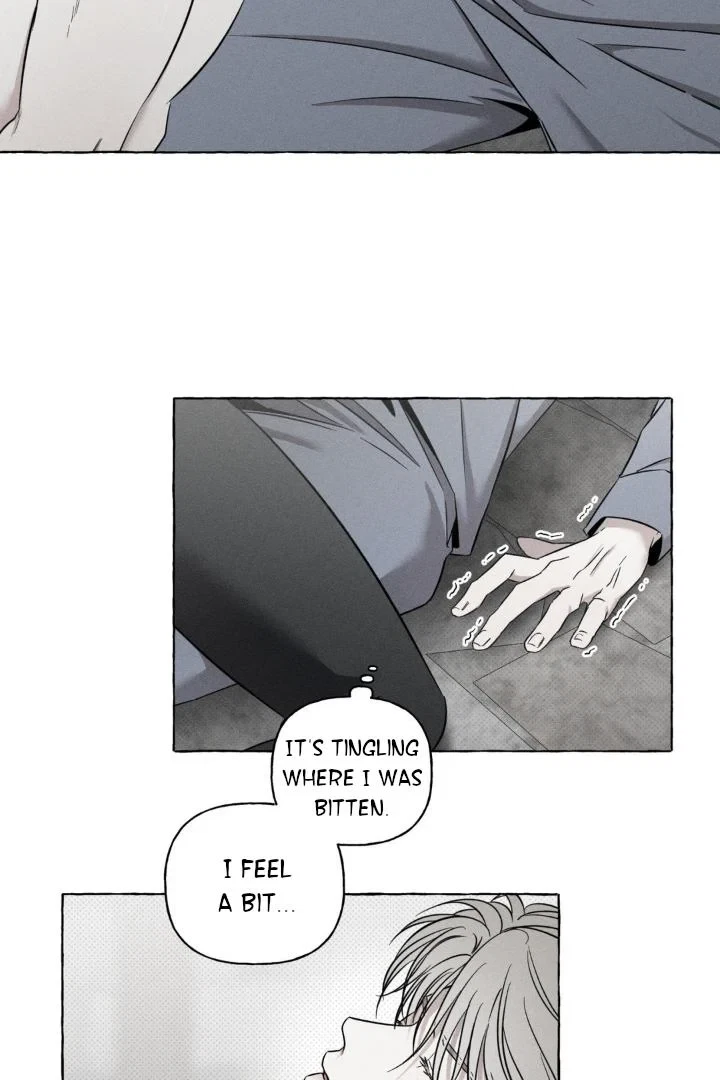 Chapter 4, page 81