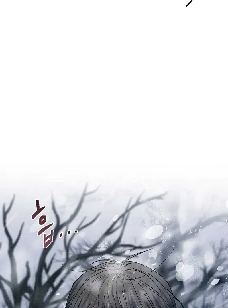 Chapter 1.1, page 11