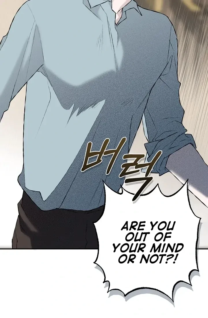 Chapter 4, page 63