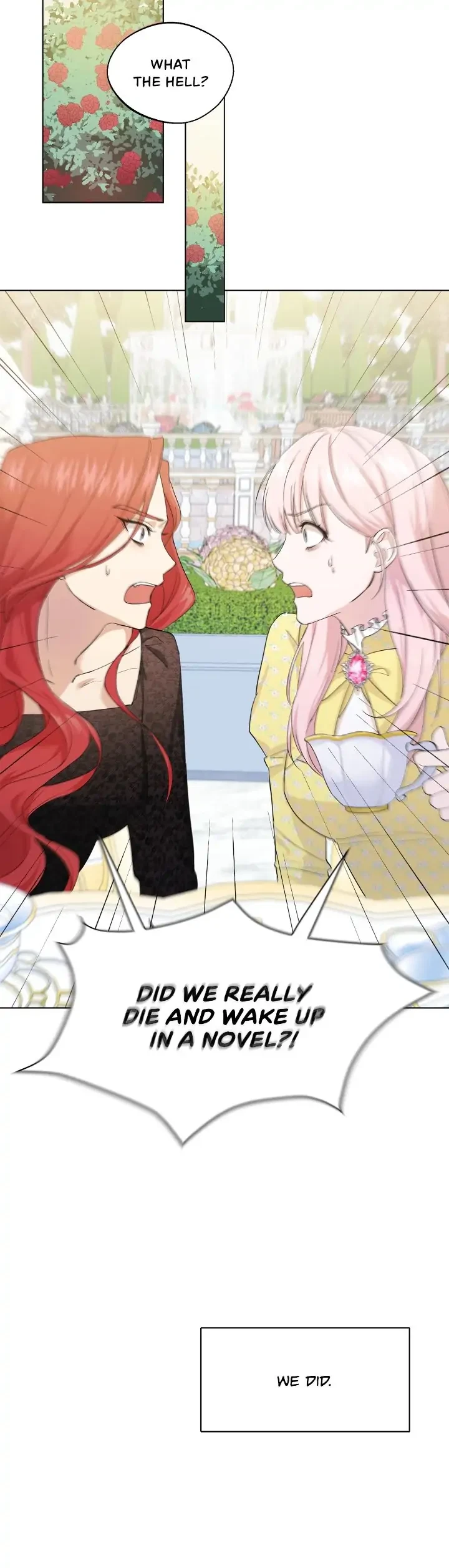 Chapter 1, page 8