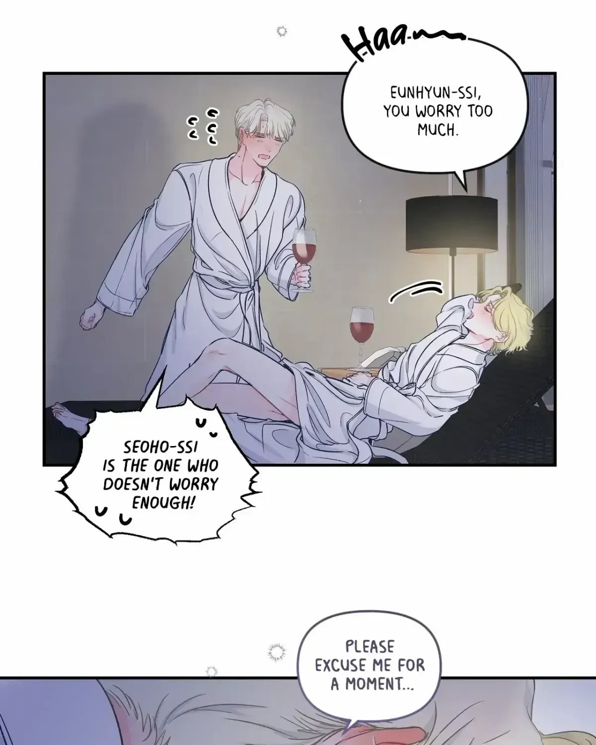 Chapter 2.1, page 13