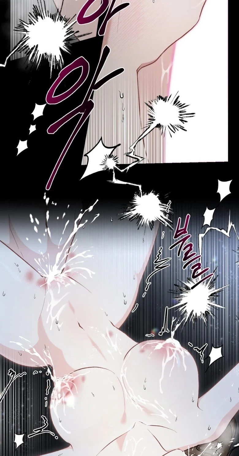 The Twins' Defiled Wife Chapter 12, page 67