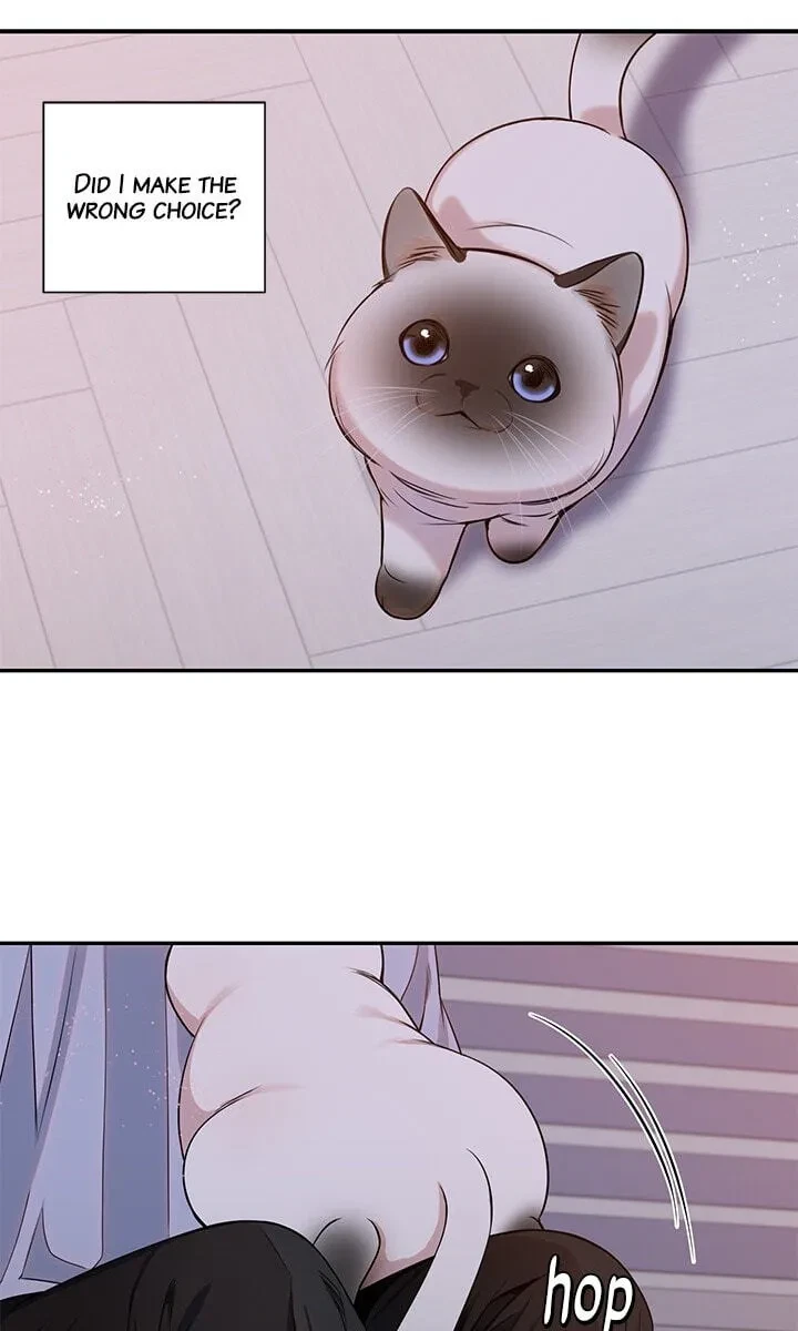 Chapter 178, page 60