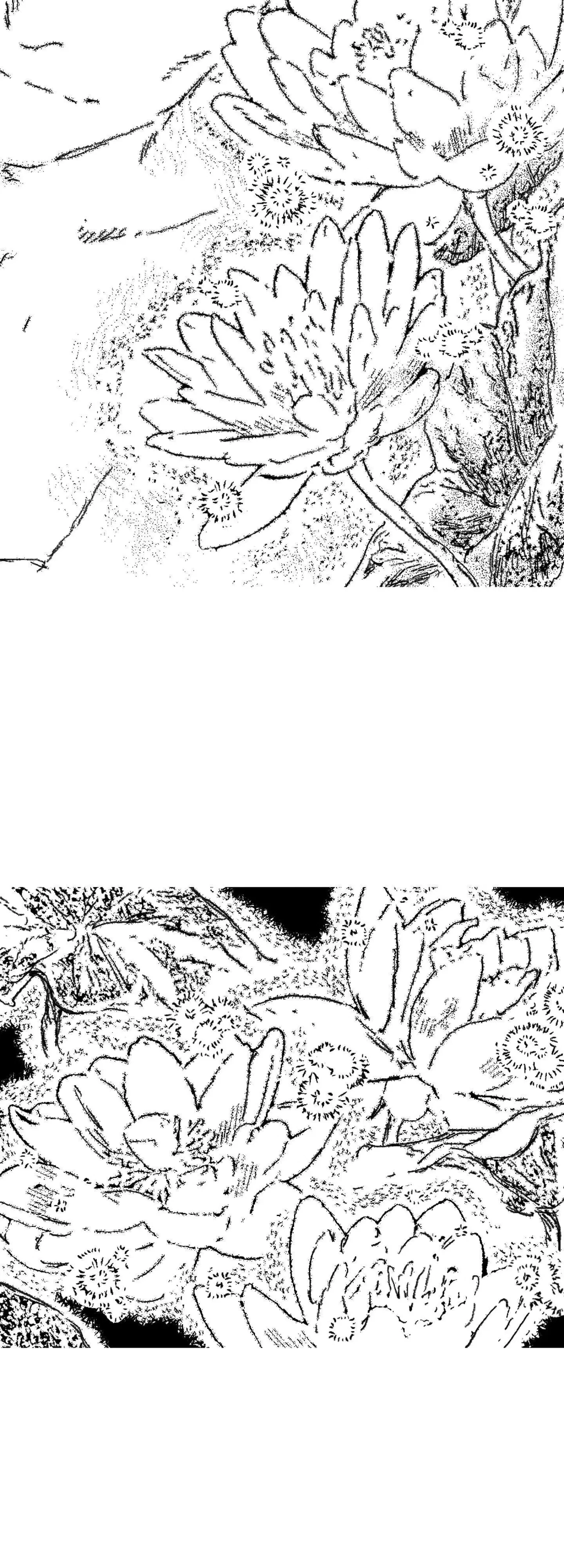 Chapter 186, page 38