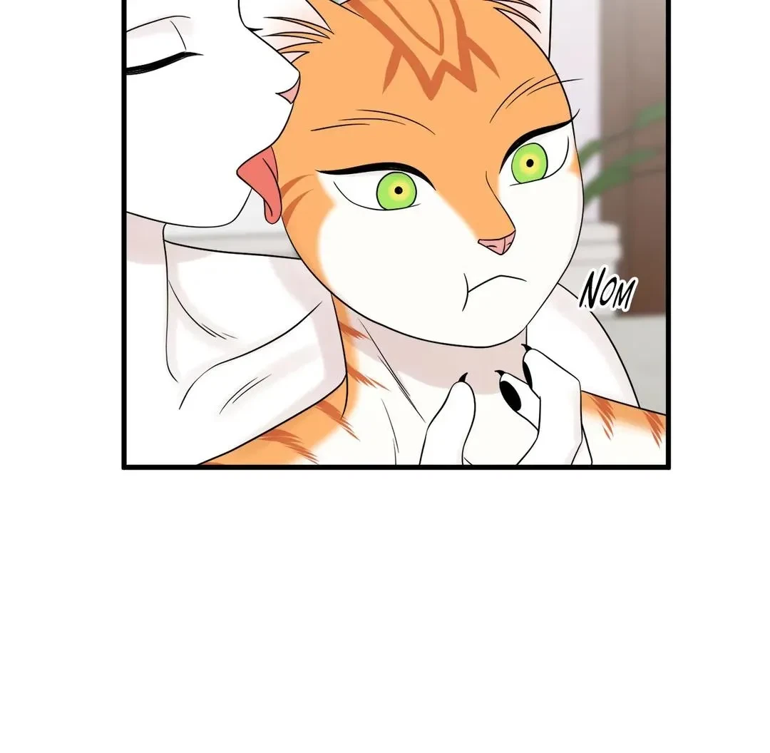 Chapter 53, page 20