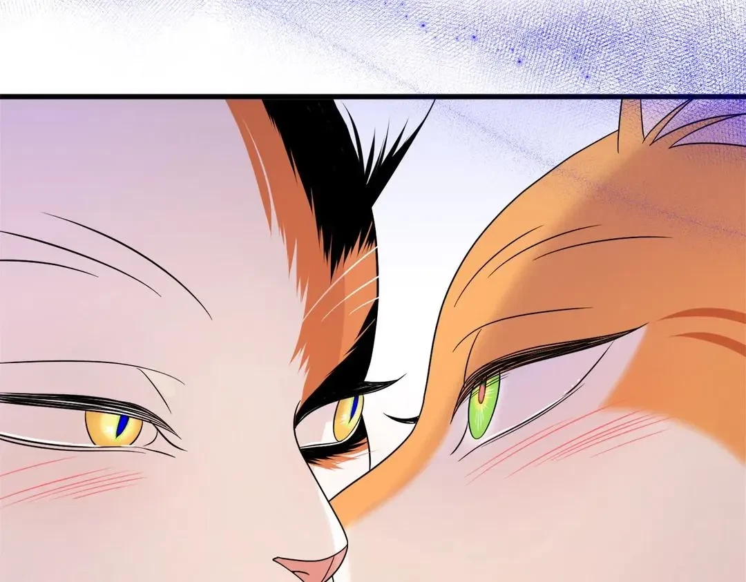 Chapter 53, page 51