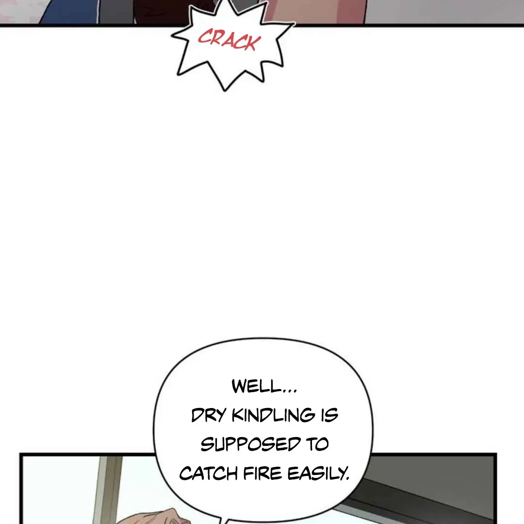 Chapter 3, page 47