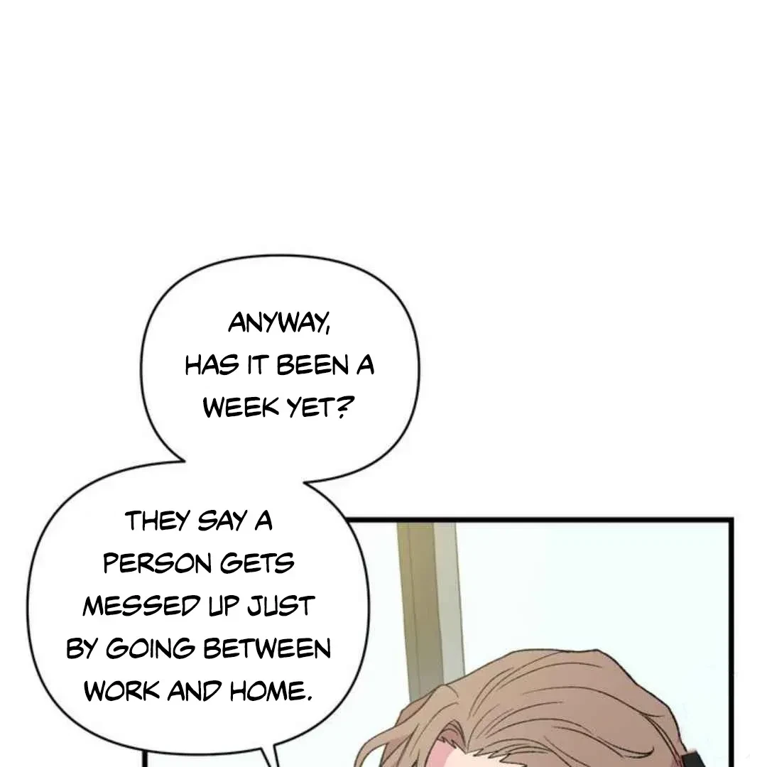 Chapter 3, page 50