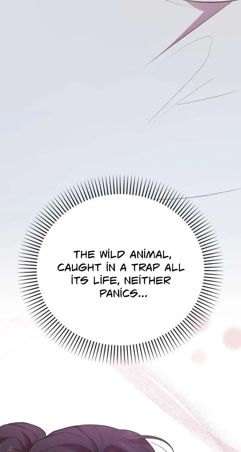 Chapter 6, page 81