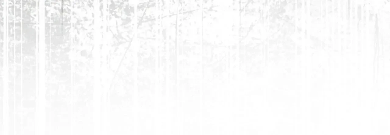 Chapter 22, page 84