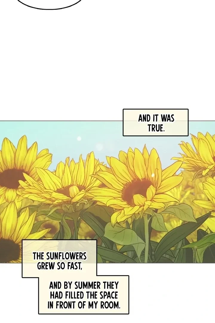 Beneath The Sunflowers Chapter 6.5, page 11