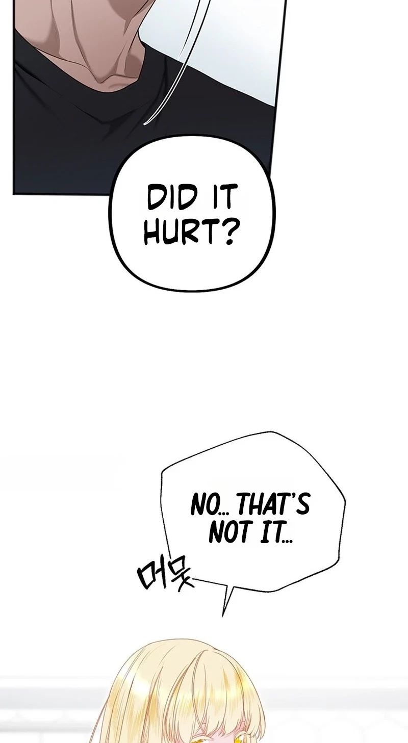 Chapter 3, page 66