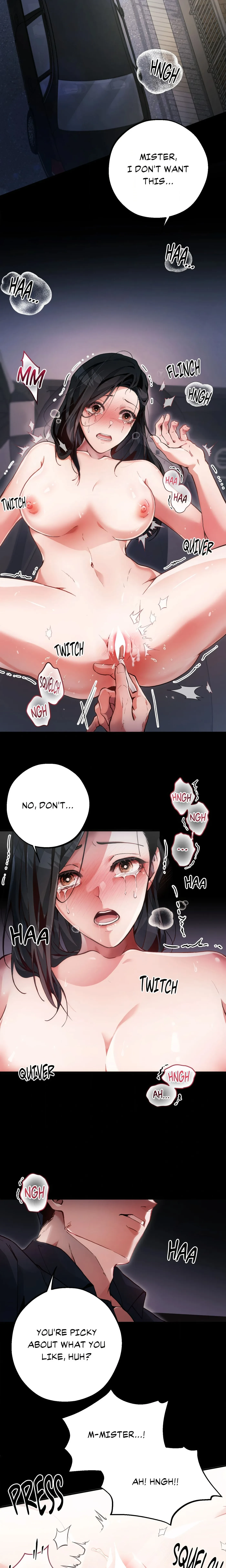Chapter 1, page 17
