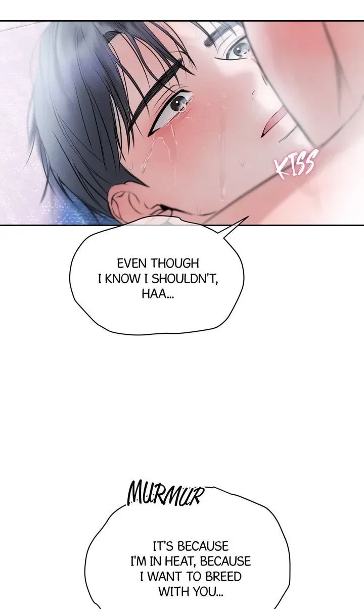 Chapter 29, page 62