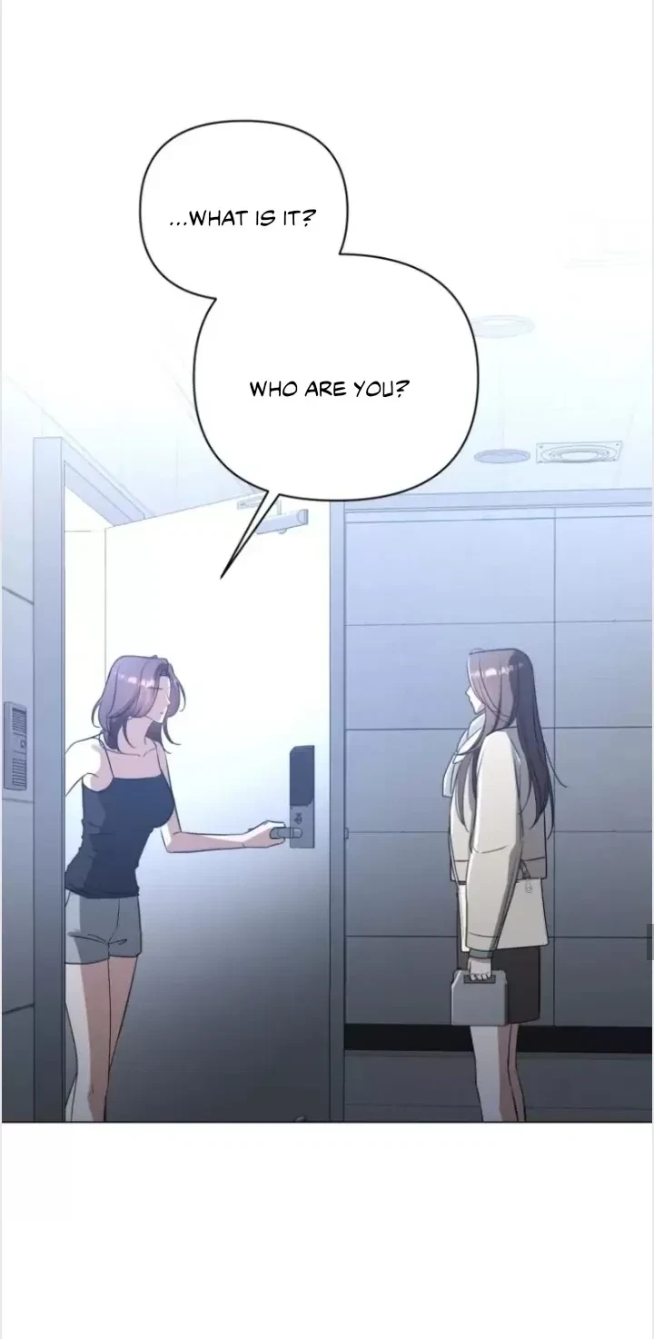 Chapter 1, page 17