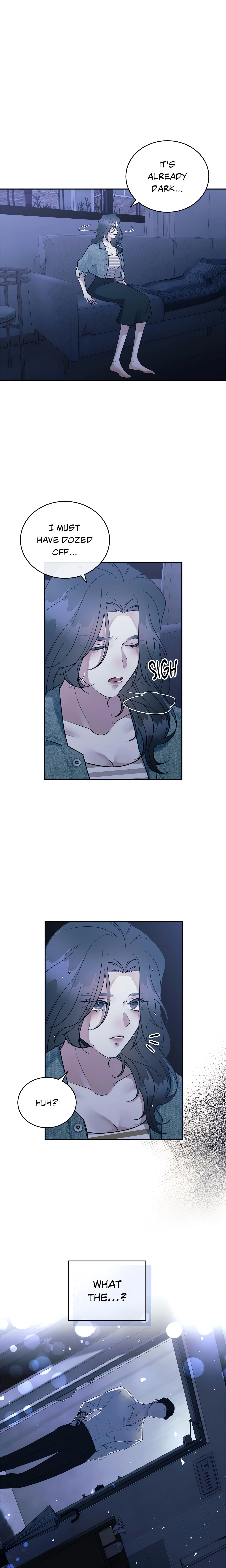 Chapter 1, page 17