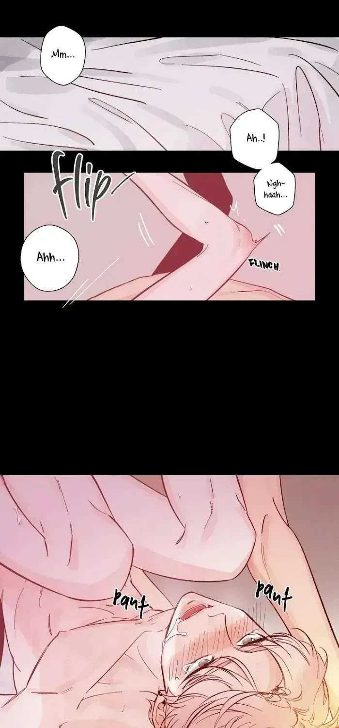 Chapter 2.3, page 24