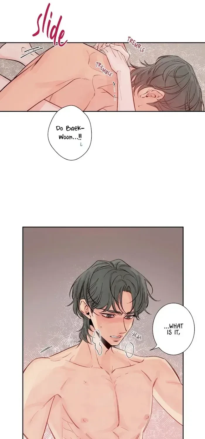 Chapter 2.3, page 29