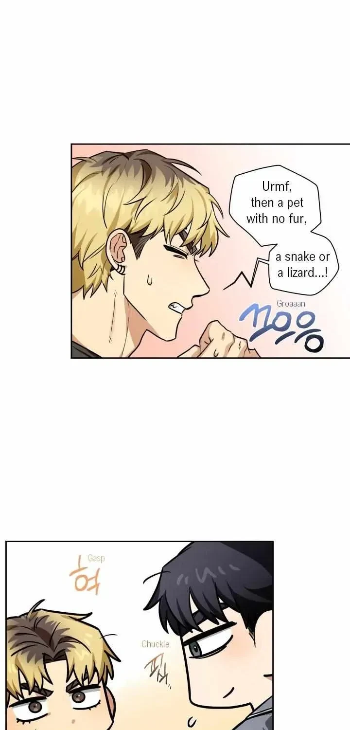 Chapter 1.2, page 37