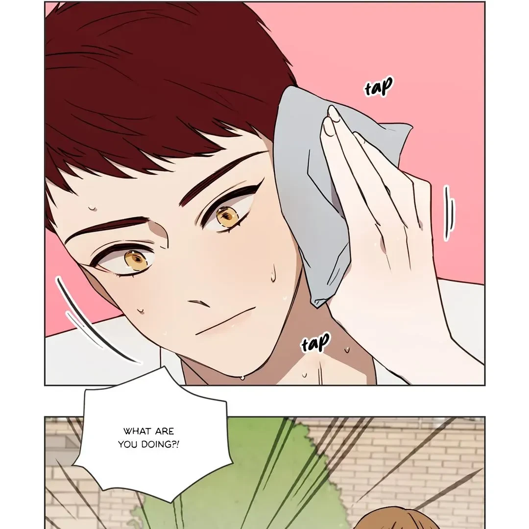 Chapter 3, page 15