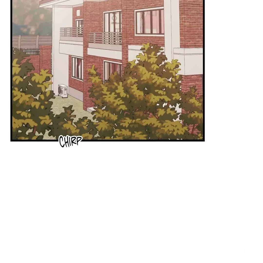 When Pear Blossoms Bloom Chapter 9, page 2
