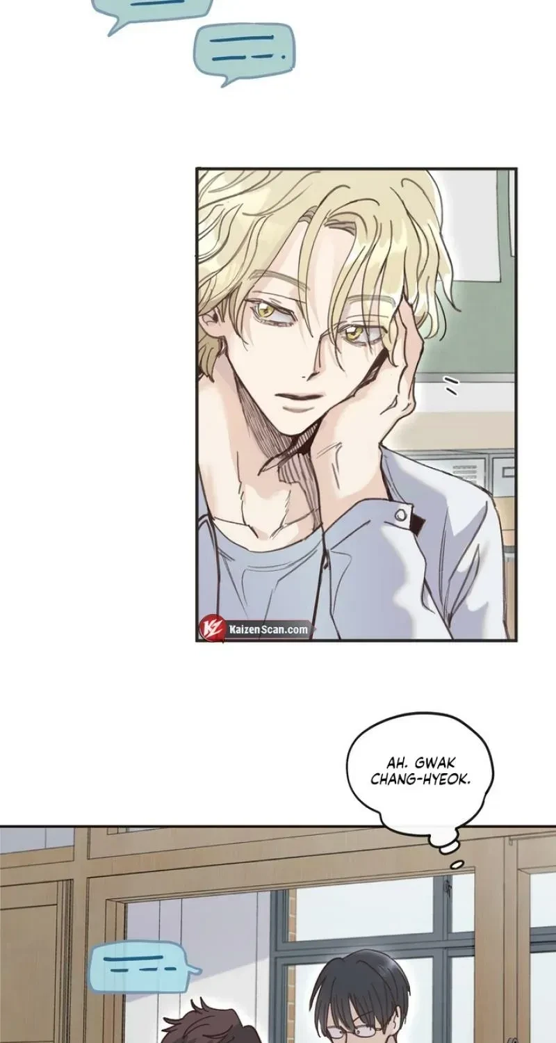 Chapter 2, page 16
