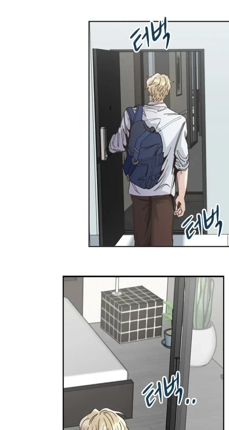 Chapter 2, page 47