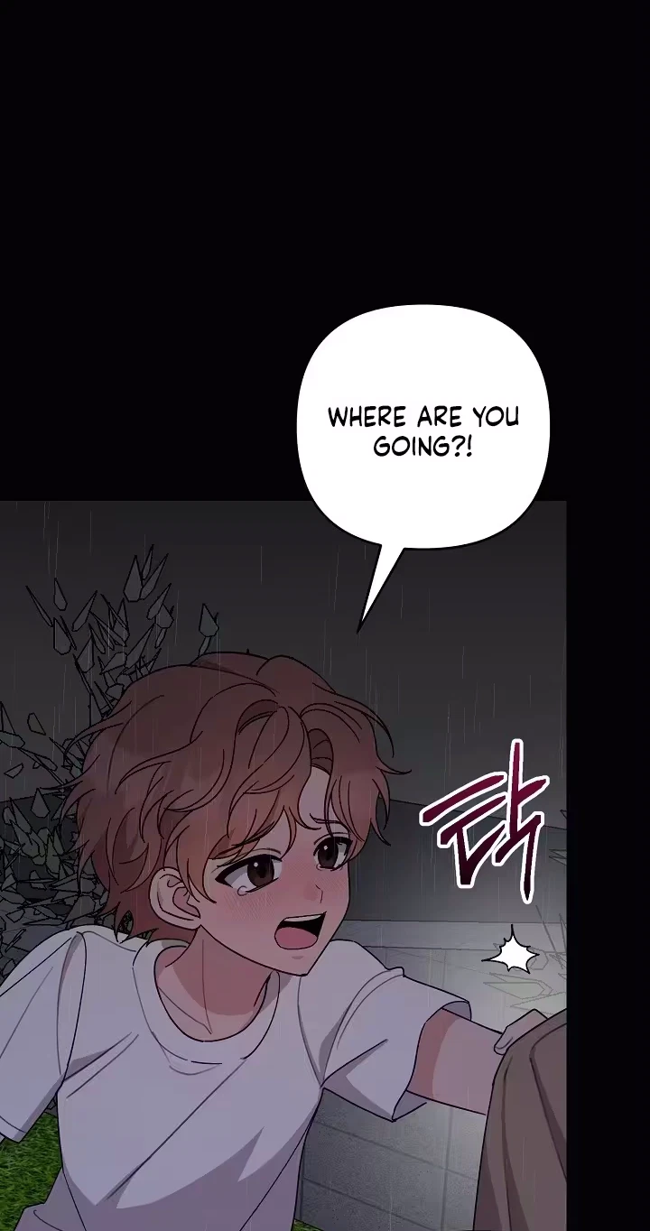 Pet User Manual Chapter 14, page 10