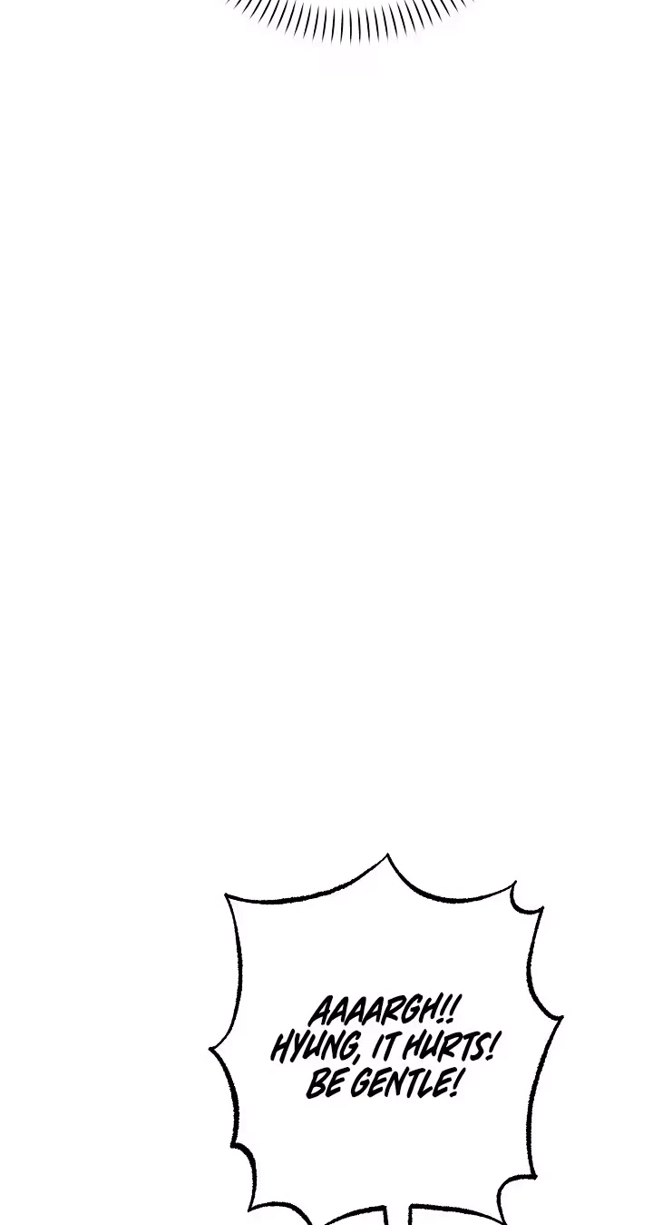 Pet User Manual Chapter 14, page 32