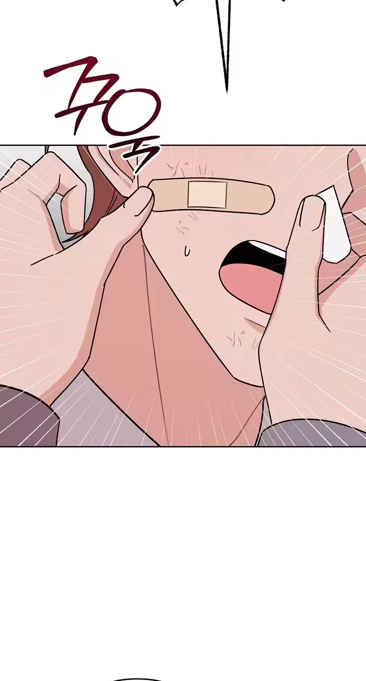 Pet User Manual Chapter 14, page 33