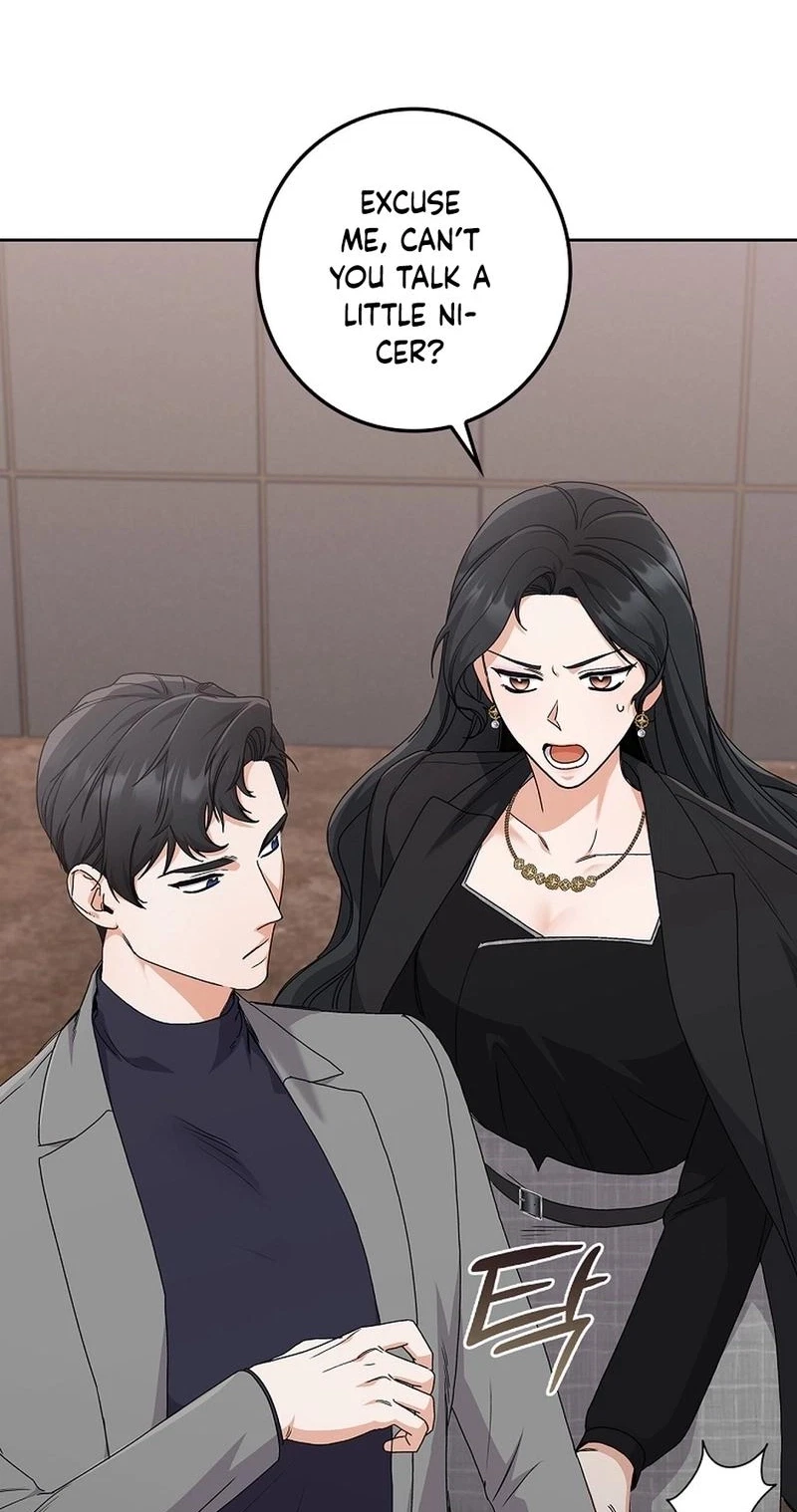 Chapter 19, page 96