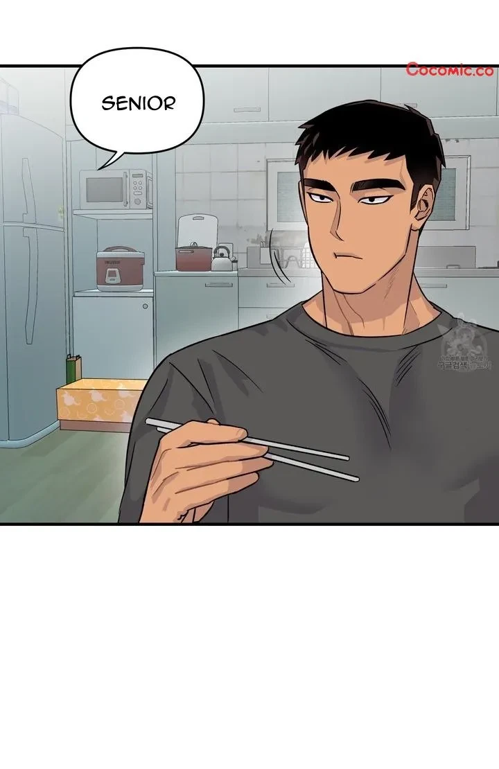 Chapter 4, page 29