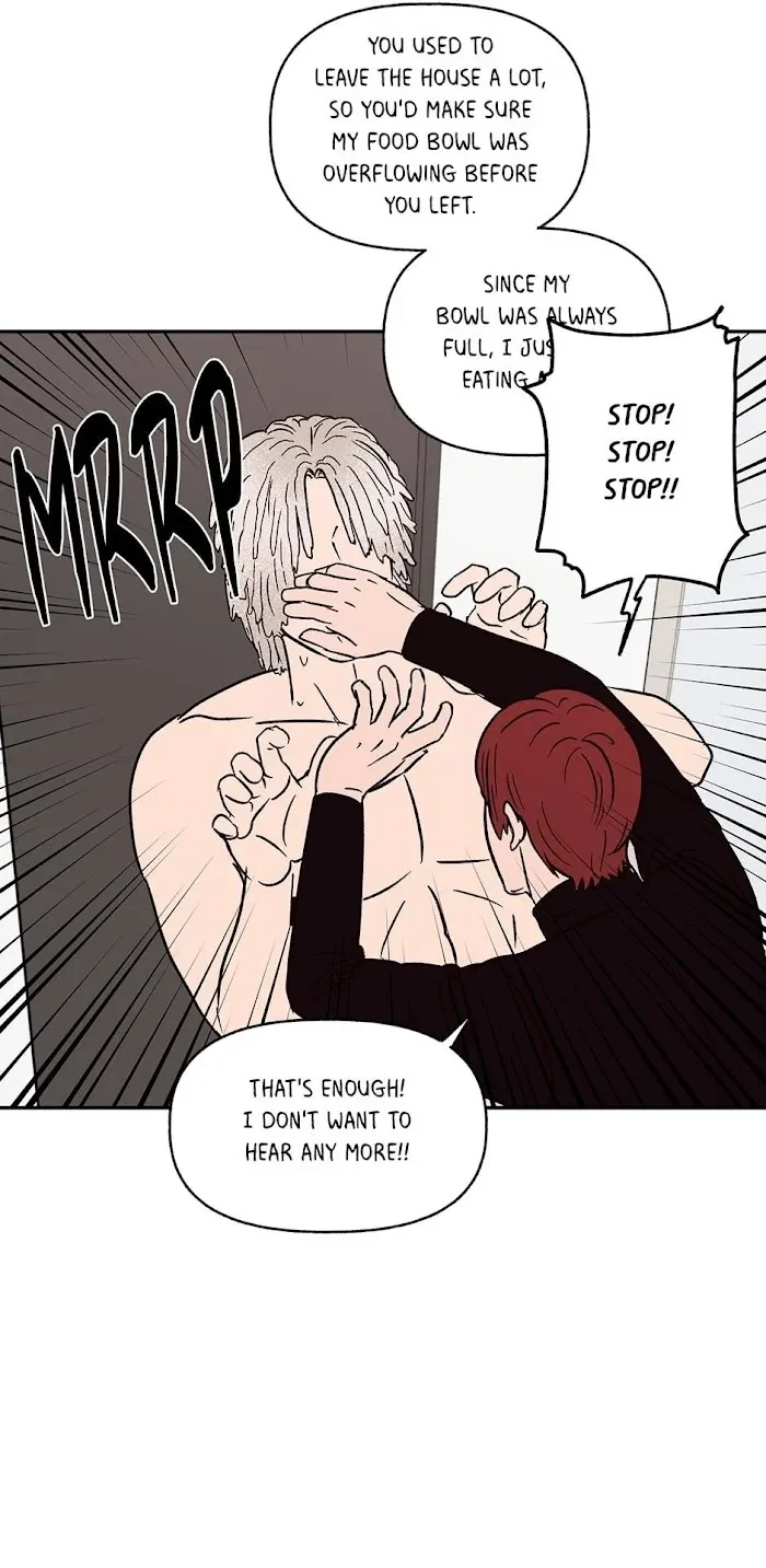 Chapter 0.2, page 11