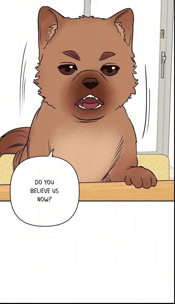 Chapter 0.2, page 35