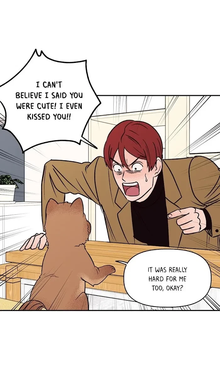 Chapter 0.2, page 36