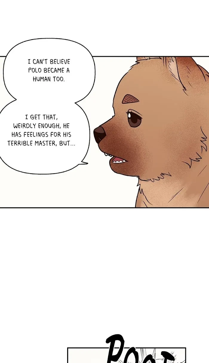 Chapter 0.2, page 49