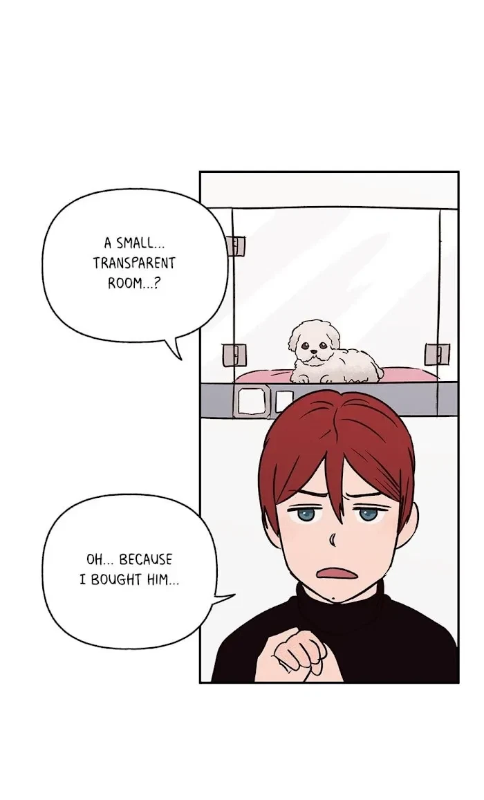 Chapter 0.2, page 5