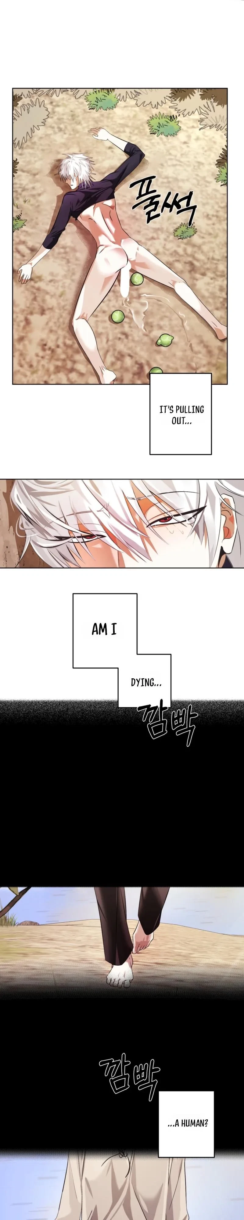 Chapter 1, page 22
