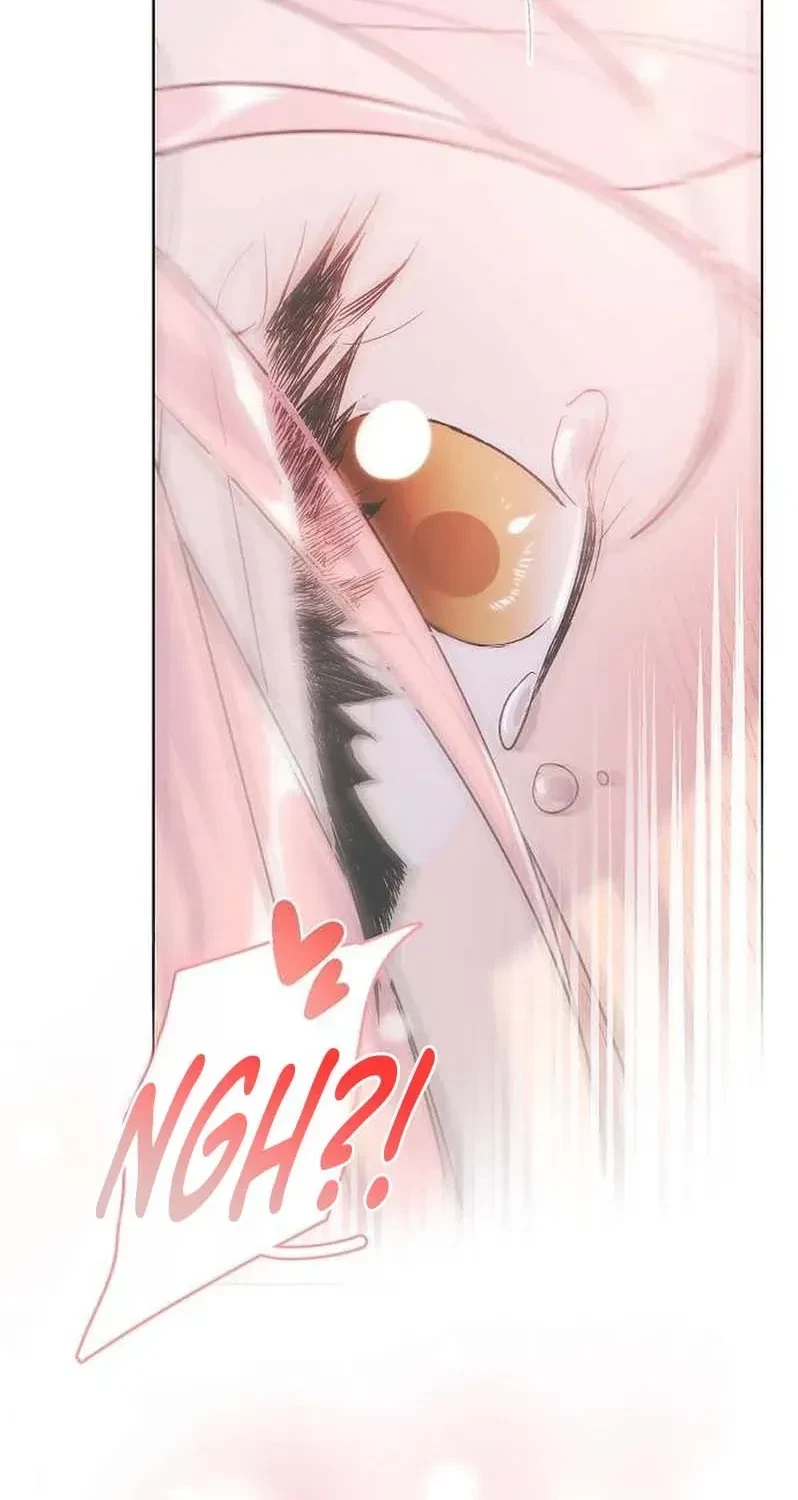 Chapter 3, page 27